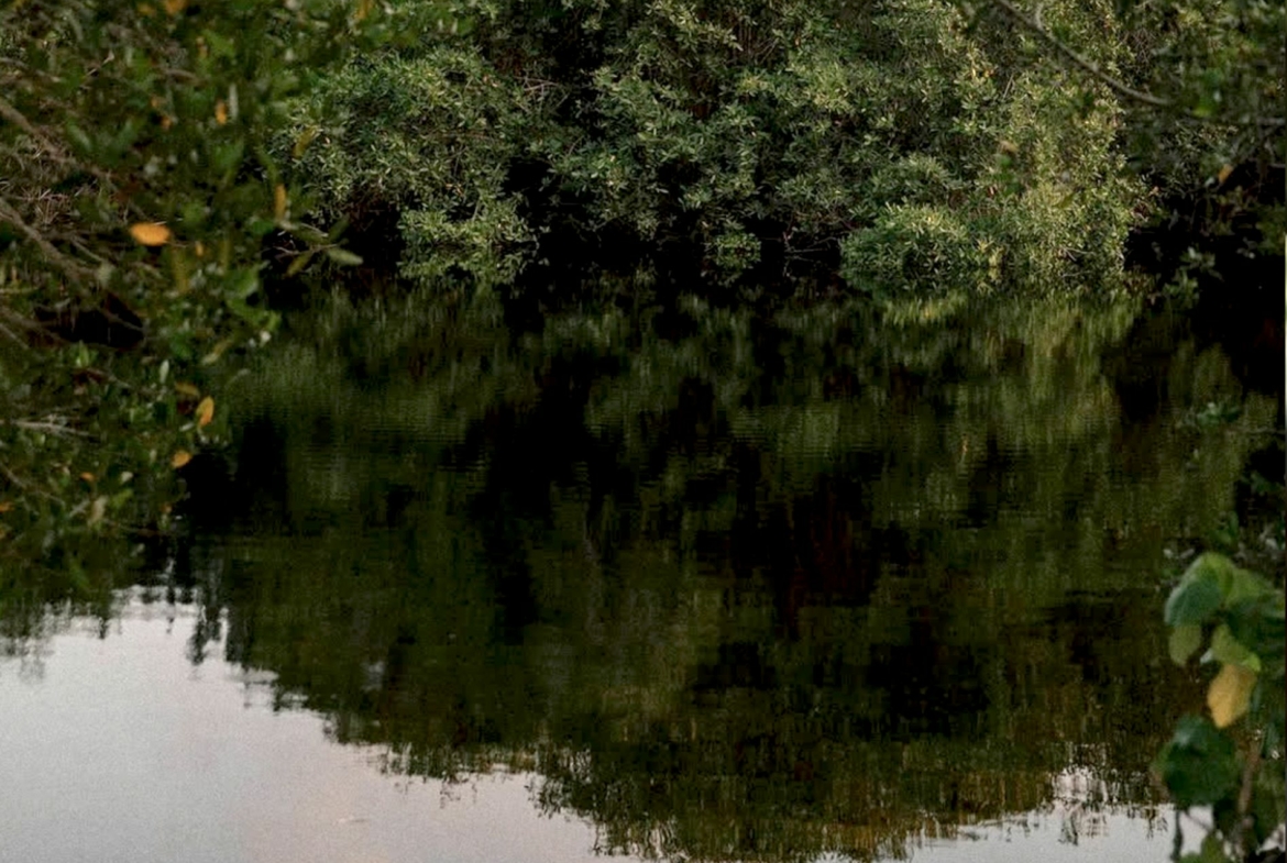 templo-saladita-river