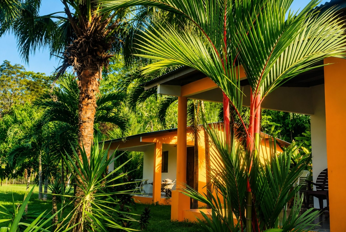 el-ranchito-surf-camp-school-panama-for-sale