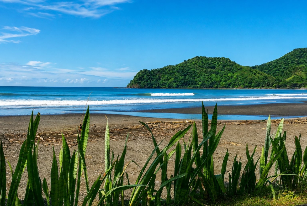 el-ranchito-surf-camp-school-panama-for-sale