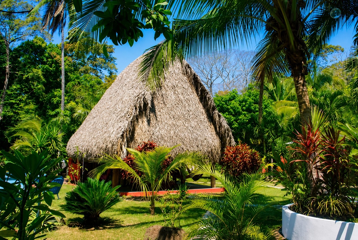 el-ranchito-surf-camp-school-panama-for-sale