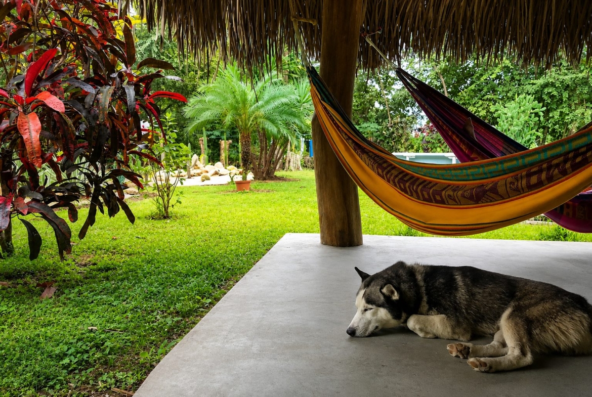 el-ranchito-surf-camp-school-panama-for-sale
