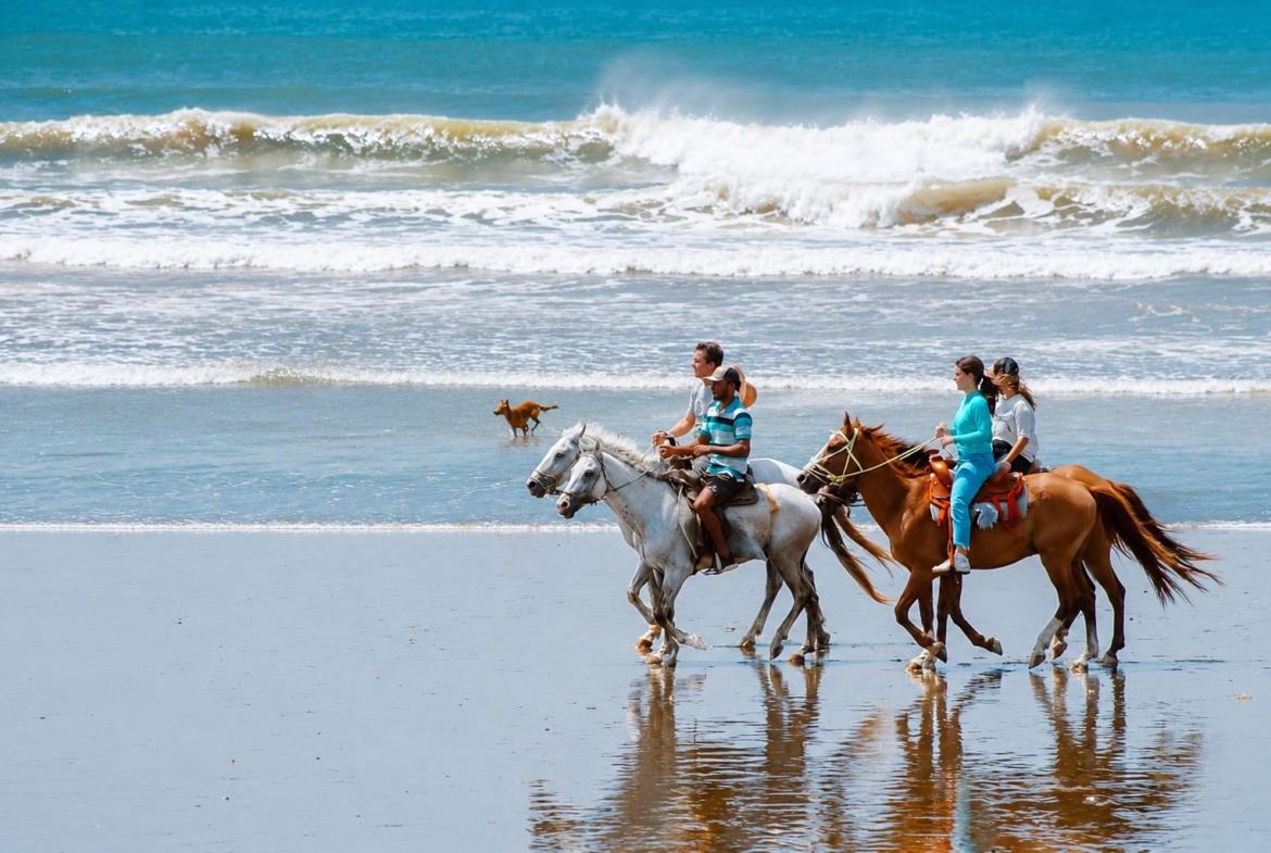 el-ranchito-surf-camp-school-panama-for-sale