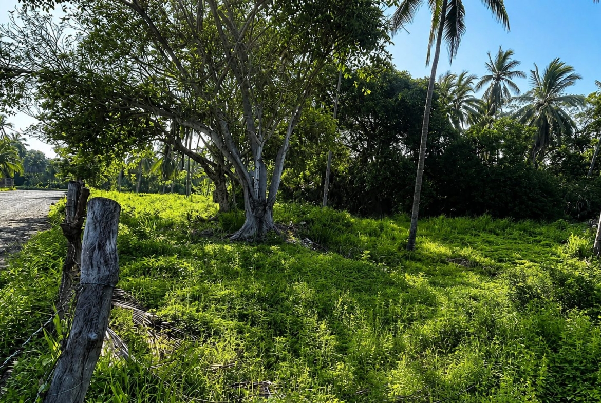 ixtapa-mexico-surf-development-land