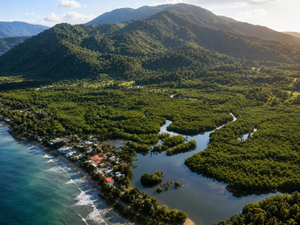 pixvae-veraguas-panama-ocean-view-land-for-sale-1