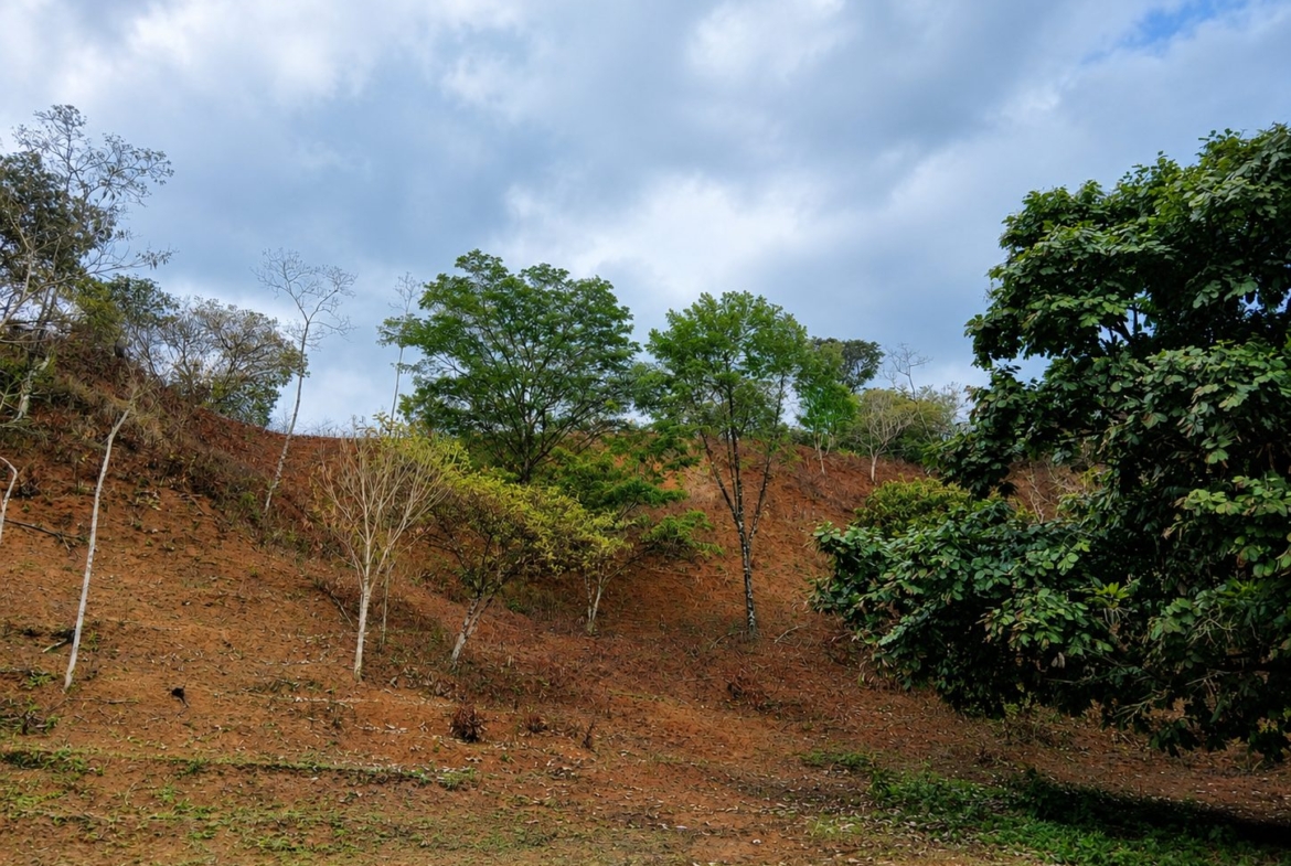 pixvae-veraguas-panama-ocean-view-land-for-sale