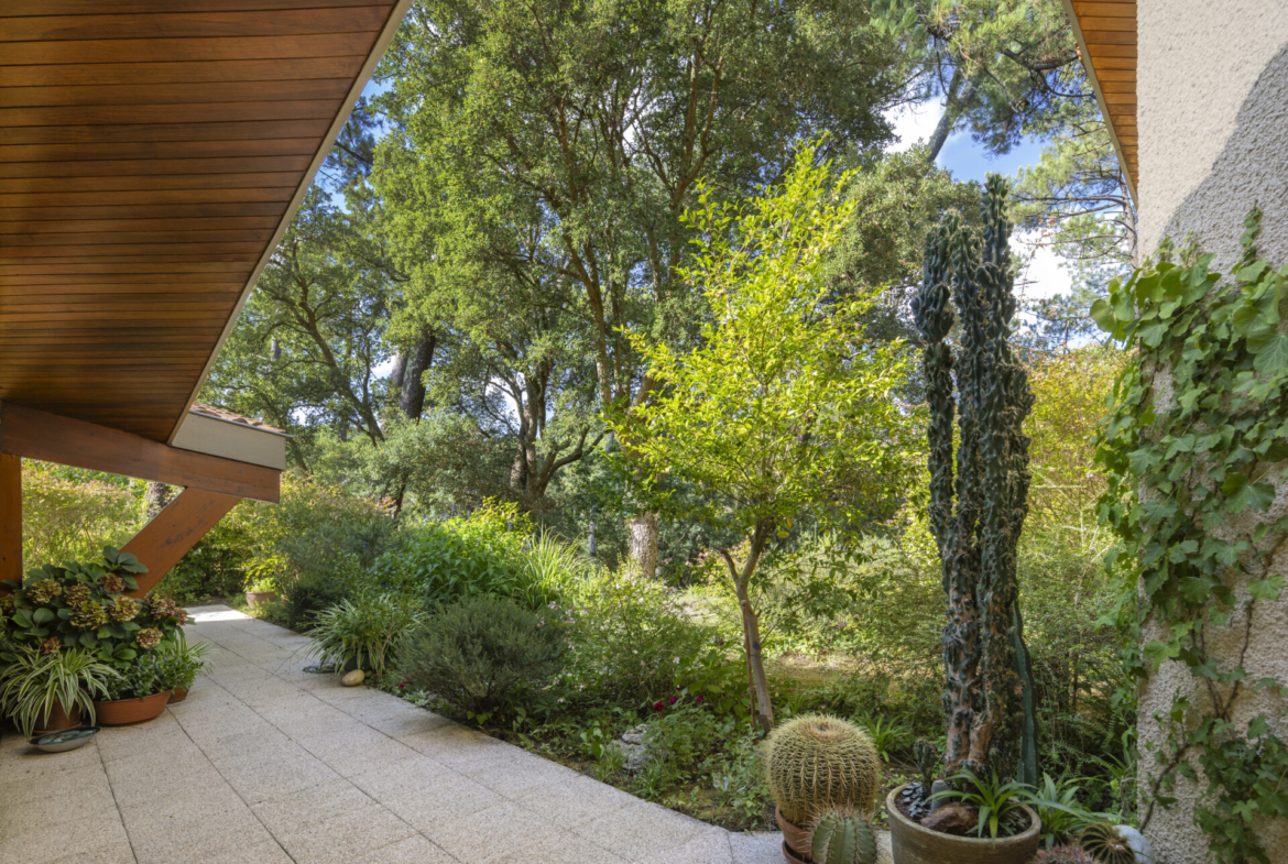 the-hossegor-hideaway-private-architect-villa