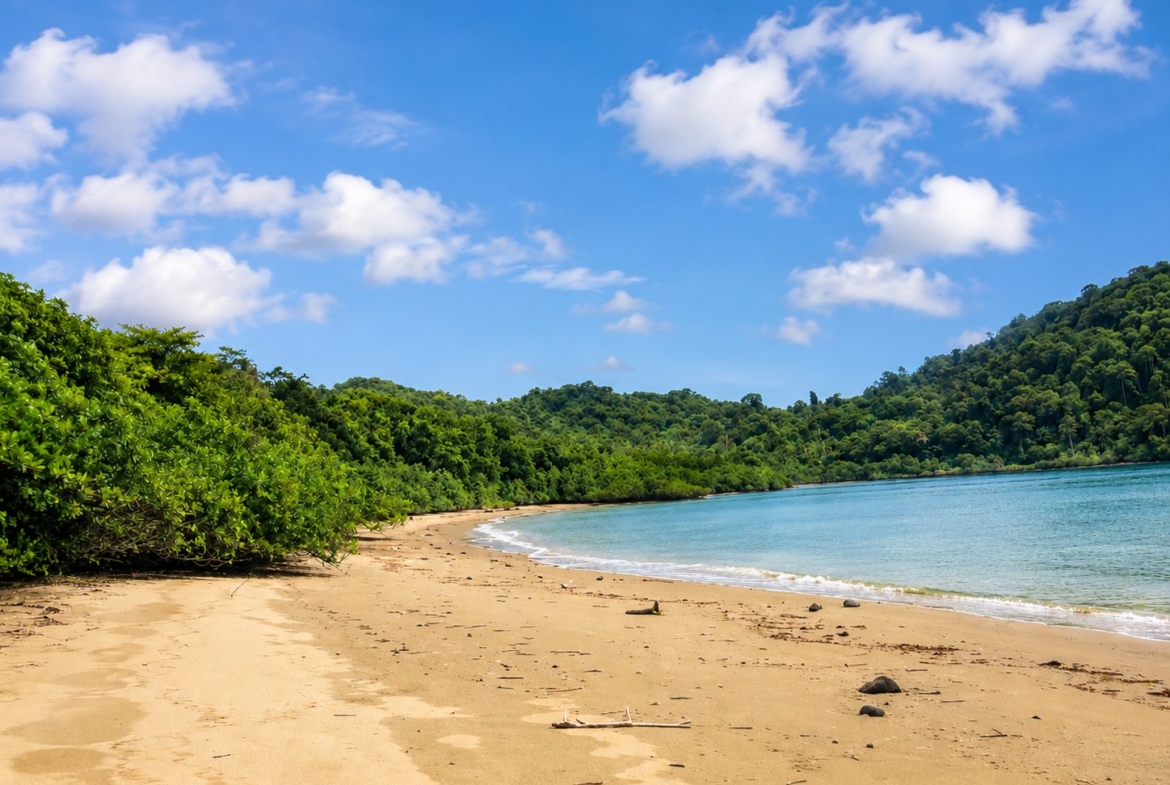 20-hectare-oceanfront-development-parcel-in-mariato-panama