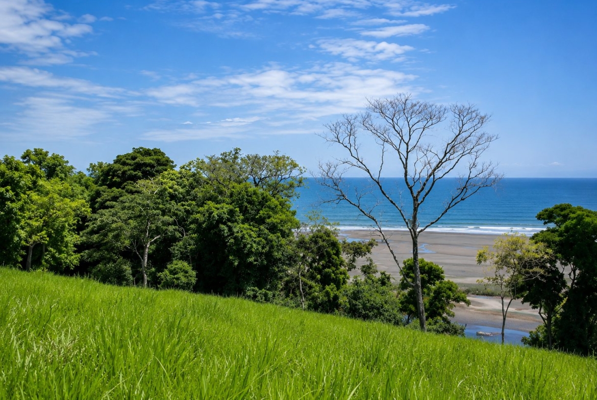 20-hectare-oceanfront-development-parcel-in-mariato-panama