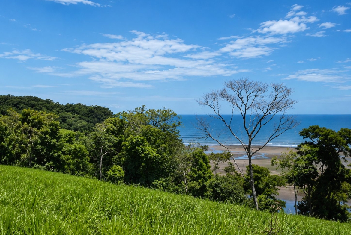 20-hectare-oceanfront-development-parcel-in-mariato-panama