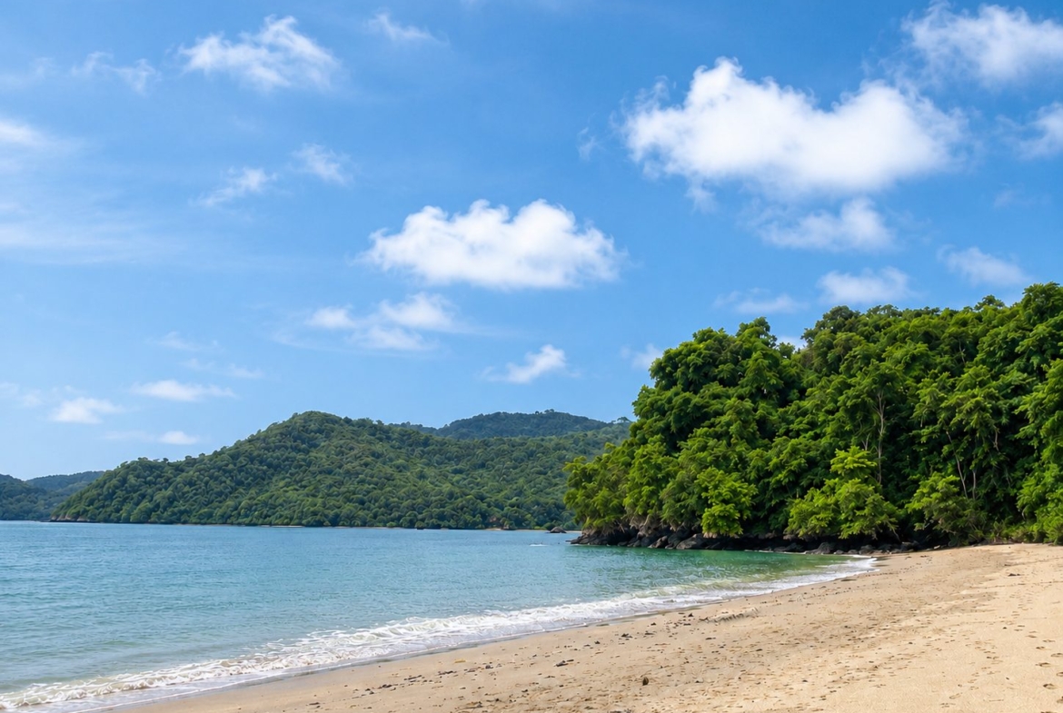 20-hectare-oceanfront-development-parcel-in-mariato-panama