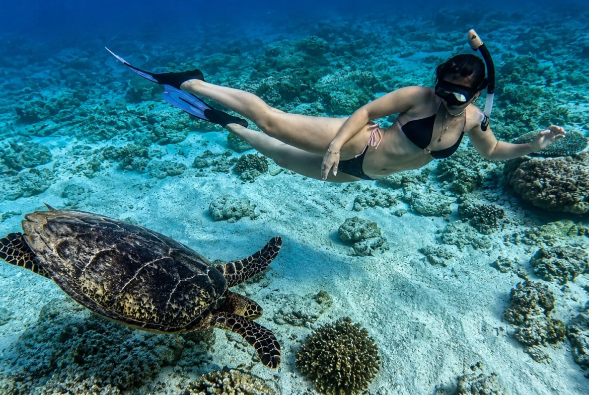 tropical-heaven-private-mentawai-islands-oceanfront-residence-turtle-dive