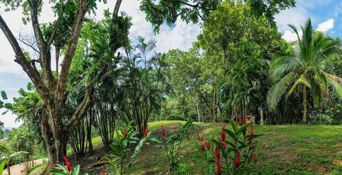 bluff-beach-resort-for-sale-bocas-del-toro